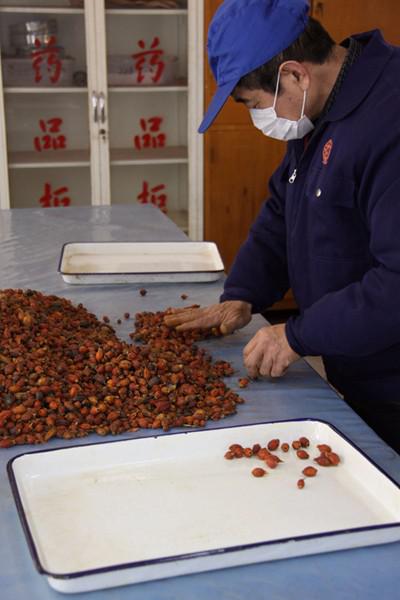 同仁堂中医药文化(图9)