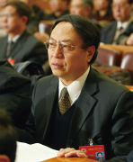 “中医络病诊疗方法”代表性传承人吴以岭