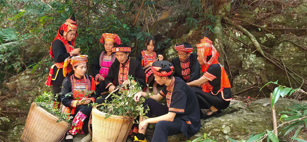 “金秀瑶族灯草灸疗法”传承人赵衷民：瑶医药的坚实守护者(图2)