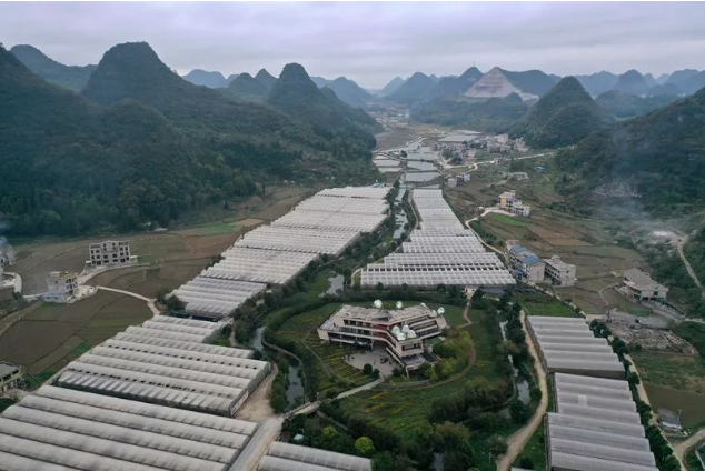 贵州中医药产业高质量发展正当其时(图2)
