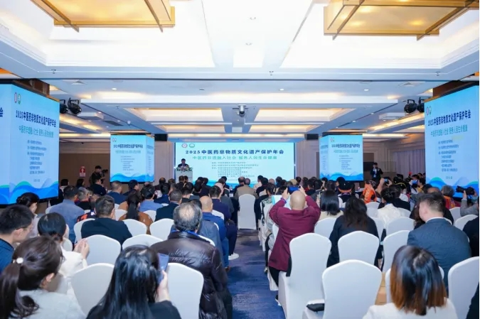 2-251201122911546.png 2-251201122911546.png